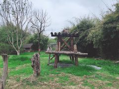 -宁波野生动物园