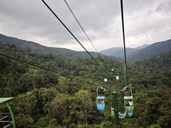 -野象谷景区