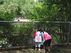 -广东茂名森林公园