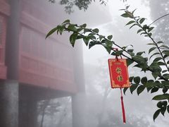 -青城山