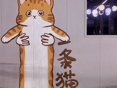-豆逗聊愈猫阁Easy Life