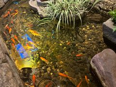 -老李家土菜馆·安吉地标美食