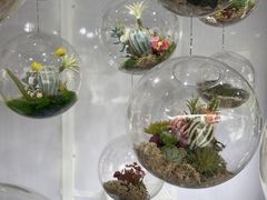 -新城市广场