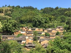 -杨家堂村