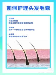 -Bollins波林丝•专研护发中心