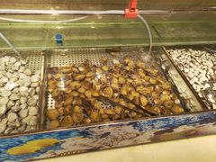 -蒙肥羊·酸汤潮牛·鲜牛肉火锅烤肉自助(岗顶店)