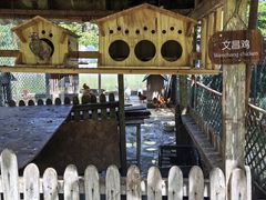 -三亚亚龙湾红树林度假酒店