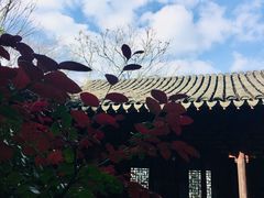 -秋霞圃