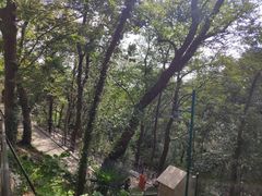 -上海佘山国家森林公园西佘山园