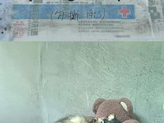 -青藏高原野生动物园