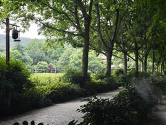 -中国茶叶博物馆(双峰馆区)