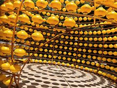 -揭东万竹园旅游景区