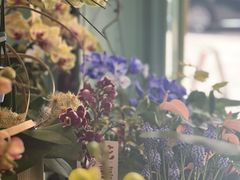 -紫荆广场·花漫里