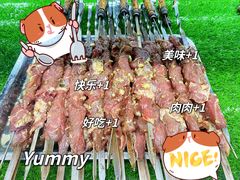 羊肉串-新疆伊宁远征餐厅