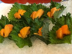 -初花·日本料理