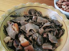 -菜当家