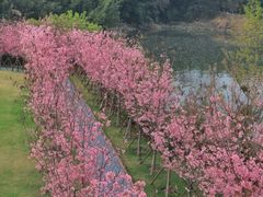 -福建鲤鱼洲酒店