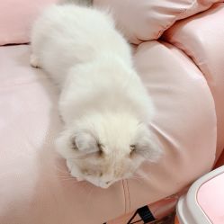 -Beauty Nails 美甲美睫皮肤管理