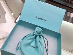 -Tiffany & Co.(银座本店)