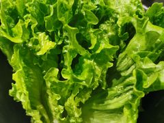 -热血兄弟·炭火烤肉(融侨中心店)