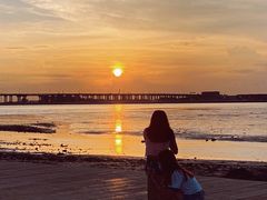 -宝安西湾红树林湿地公园