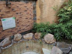 -御林汤泉