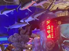 -烟台海昌鲸鲨海洋公园