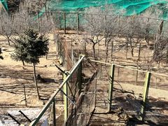 -青藏高原野生动物园