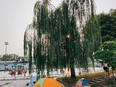 -柳浪游泳场