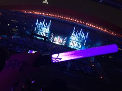 -南京奥林匹克体育中心-体育馆