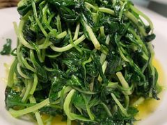 酒香金花菜-松鹤楼(狮山永利广场店)