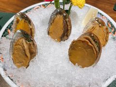 手工冰镇鲍鱼-木棉·醉心粤味(COCO Park店)