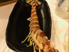 -鲜入围煮花胶鸡海鲜火锅