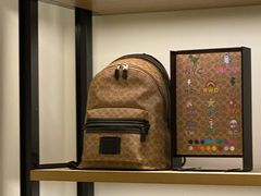 -COACH蔻驰(星光68广场店)