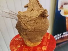-野人先生现做冰淇淋(北京顺义祥云小镇店)