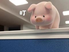 -老黄记手撕烤兔(玉林街店)