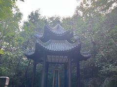 -云龙山