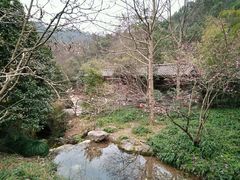 -嘉龙茶庄