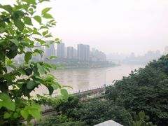 -李子坝梁山鸡(李子坝大鸡哥店)