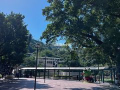 -石排湾郊野公园