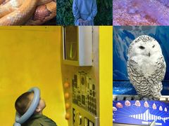 -成都浩海立方海洋公园