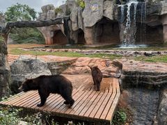 -海南热带野生动植物园