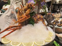 -半岛翡丽海鲜自助餐厅(观风亭店)