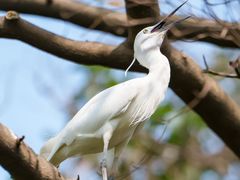 -Sony Store索尼(广州正佳店)