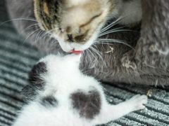 -五月木作·DIY木作文创体验店(北京路店)