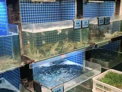 水产区-东门头·江鲜小馆(新天地店)