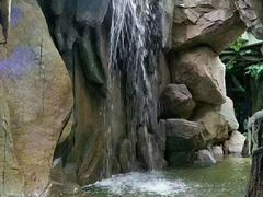 -临沂极地海洋王国