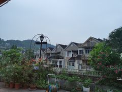 -先机泉水鸡汤(南山老君洞店)