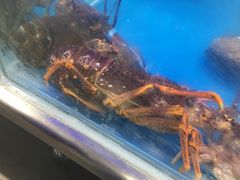 -盒马鲜生(大成店)