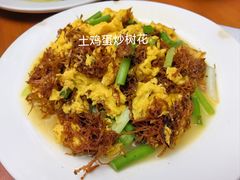 -翕庐小苑